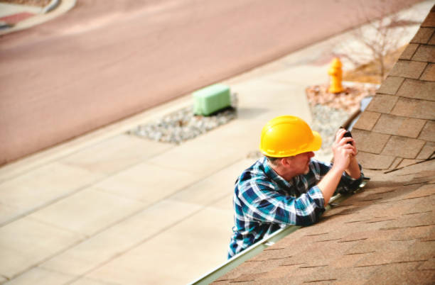Best Roof Moss and Algae Removal  in Falmouth, VA